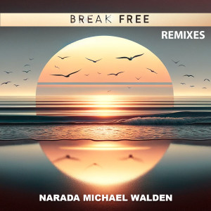 Listen to Break Free (Radio Edit) song with lyrics from Narada Michael Walden