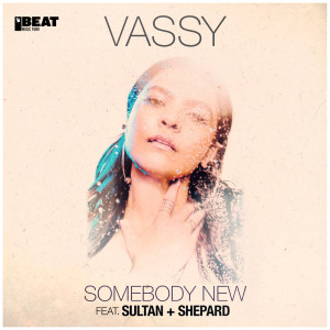 收聽Vassy的Somebody New (feat. Sultan + Shepard)歌詞歌曲