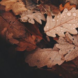 Listen to Take a Chance song with lyrics from SPA