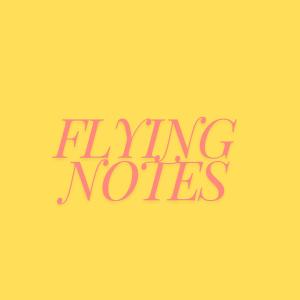 Stellano的專輯Flying Notes