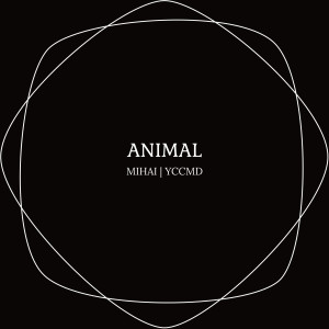 收聽Mihai的Animal歌詞歌曲