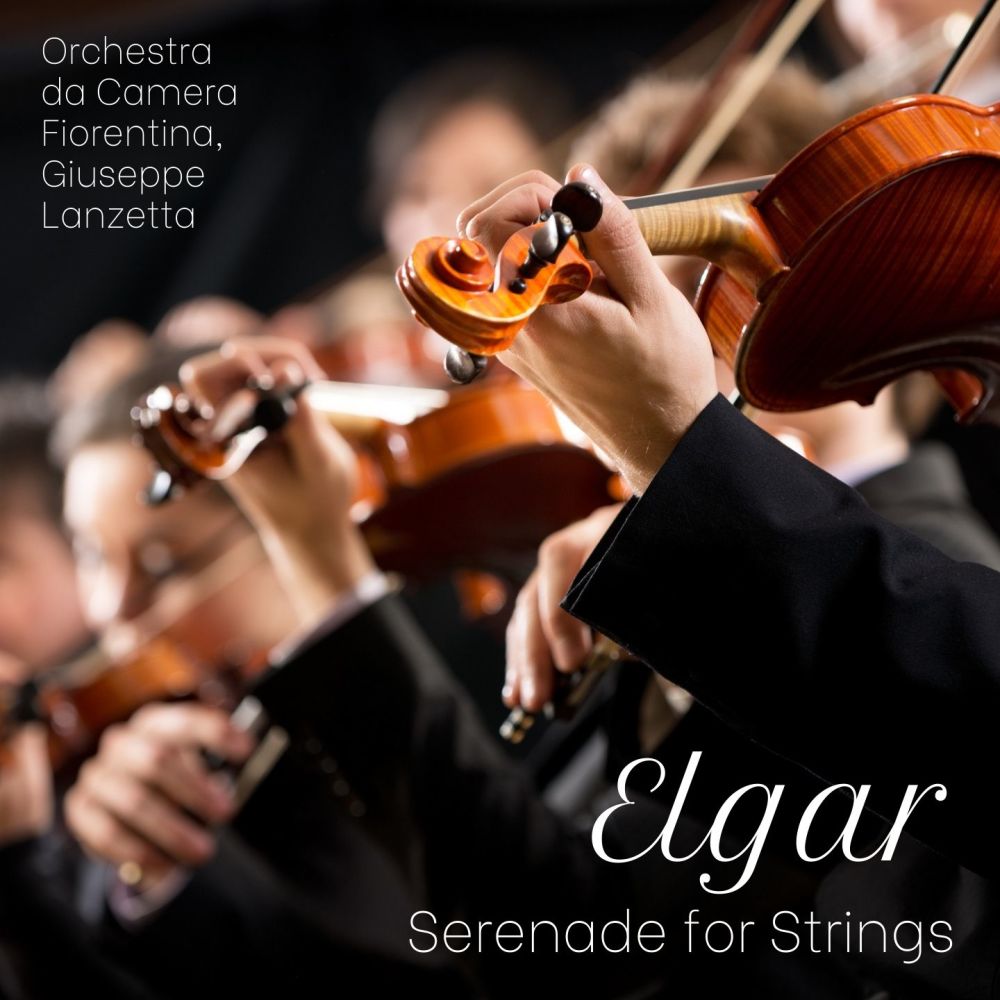 Serenade for String Orchestra, Op. 20: II. Larghetto (Live)