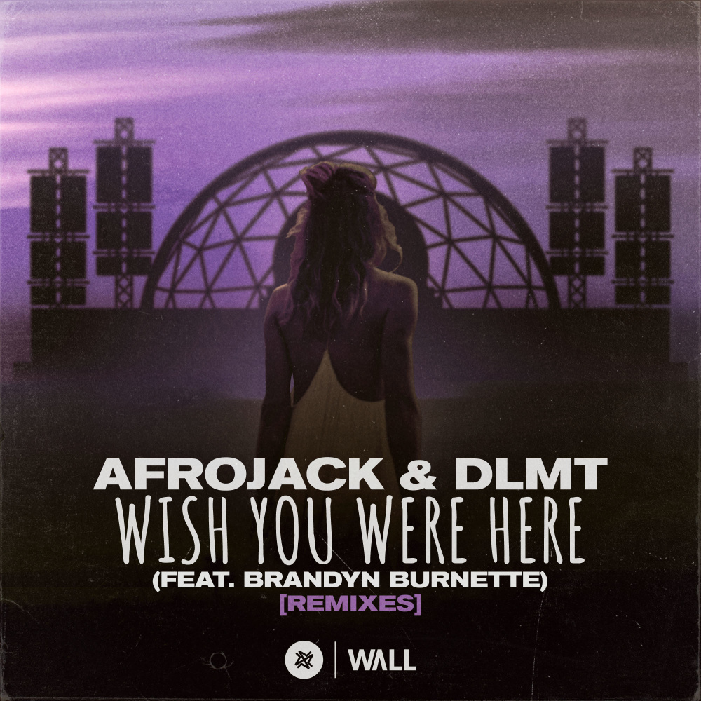 Wish You Were Here(feat. Brandyn Burnette) (Dave Summit & CastNowski Extended Remix)