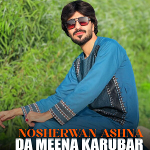 Album Da Meena Karubar from Nosherwan Ashna