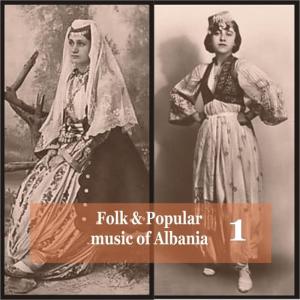 收聽Albanian Popular Music Ensemble of Tirana的In the Dark of the Forest [Folk Song]歌詞歌曲