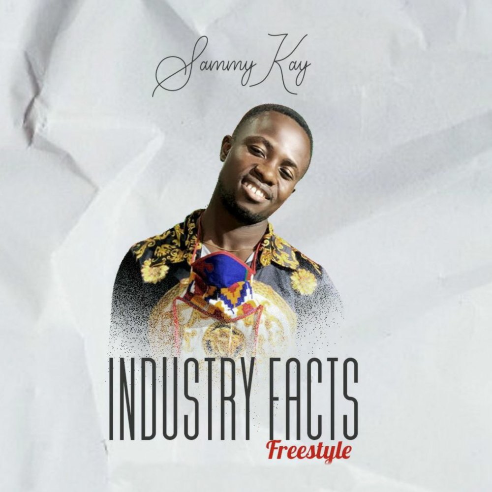 Industry Facts (Freestyle)