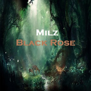 อัลบัม Black Rose ศิลปิน Milz