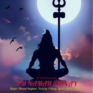 Himani Baghari的专辑Om Namah Shivay