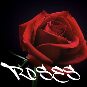 Album ROSES (Explicit) oleh Various Artists