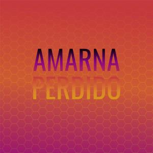 Album Amarna Perdido from Various