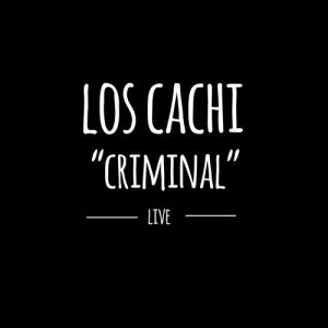 收聽Los Cachi的Criminal (En Vivo)歌詞歌曲