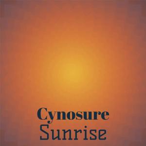 Album Cynosure Sunrise from Various