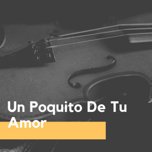 Xavier Cugat & His Waldorf-Astoria Orchestra的專輯Un Poquito De Tu Amor