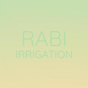 Various的专辑Rabi Irrigation