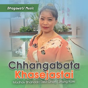 ดาวน์โหลดและฟังเพลง Jeevan Chhoto Chha พร้อมเนื้อเพลงจาก Madhav Bhandari