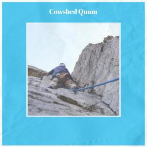 Album Cowshed Quam from Various