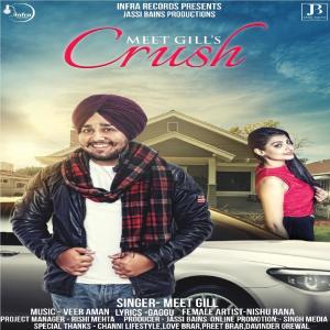 ดาวน์โหลดและฟังเพลง Crush พร้อมเนื้อเพลงจาก Meet Gill