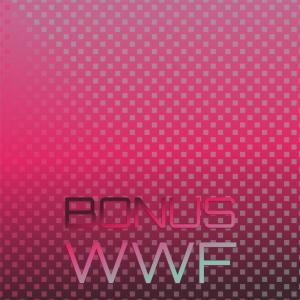 Various Artists的專輯Bonus Wwf