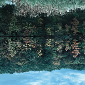 default album img