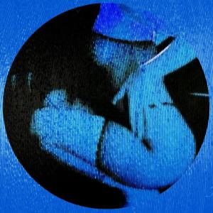 ดาวน์โหลดและฟังเพลง Hellcat (feat. Blueface & CeeLo Green) (Explicit) พร้อมเนื้อเพลงจาก hatecigarettes