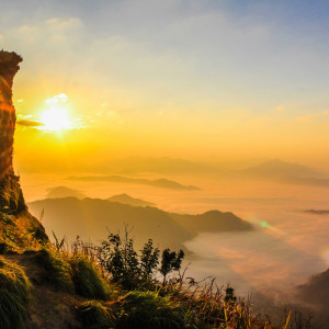 Dengarkan Life in Nature lagu dari Yoga Tribe dengan lirik