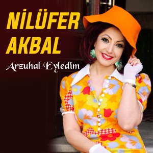 收聽Nilüfer Akbal的Sevdiğim歌詞歌曲