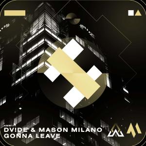 Album Gonna Leave from DV!DE