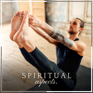 Hatha Yoga Maestro的專輯Spiritual Aspect