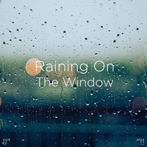 Listen to Light Rain Tapping Asmr song with lyrics from Rain Sounds