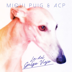 收聽Miqui Puig的La del galgo viejo歌詞歌曲