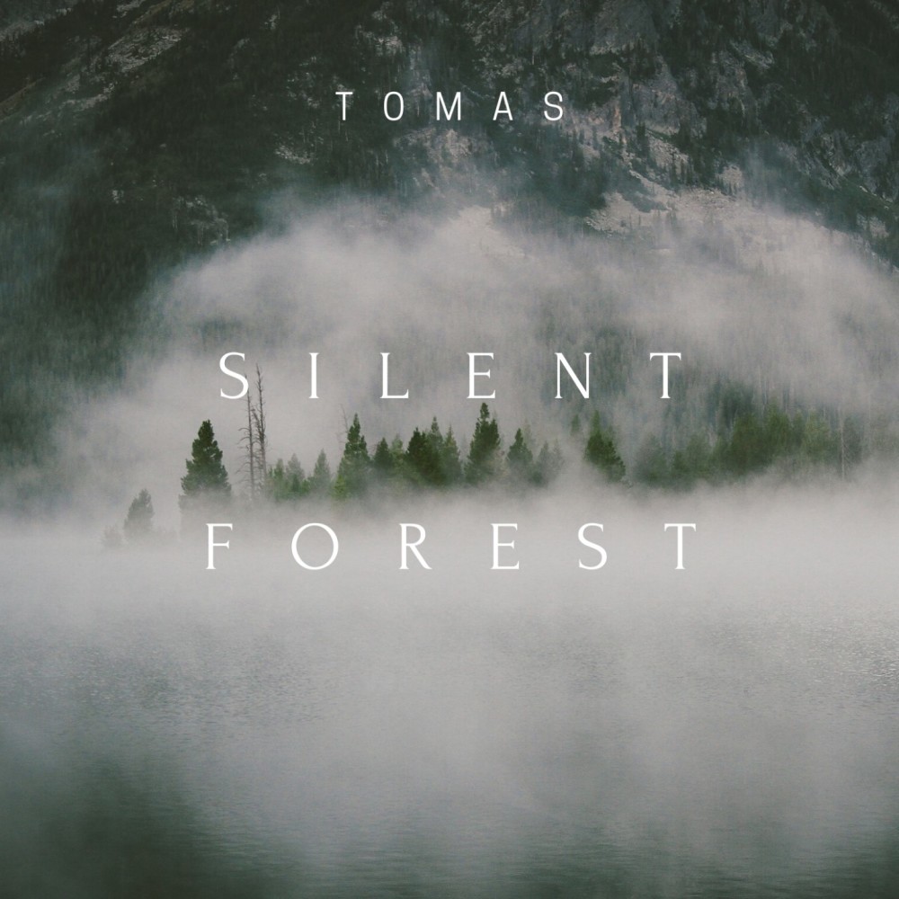 Silent Forest