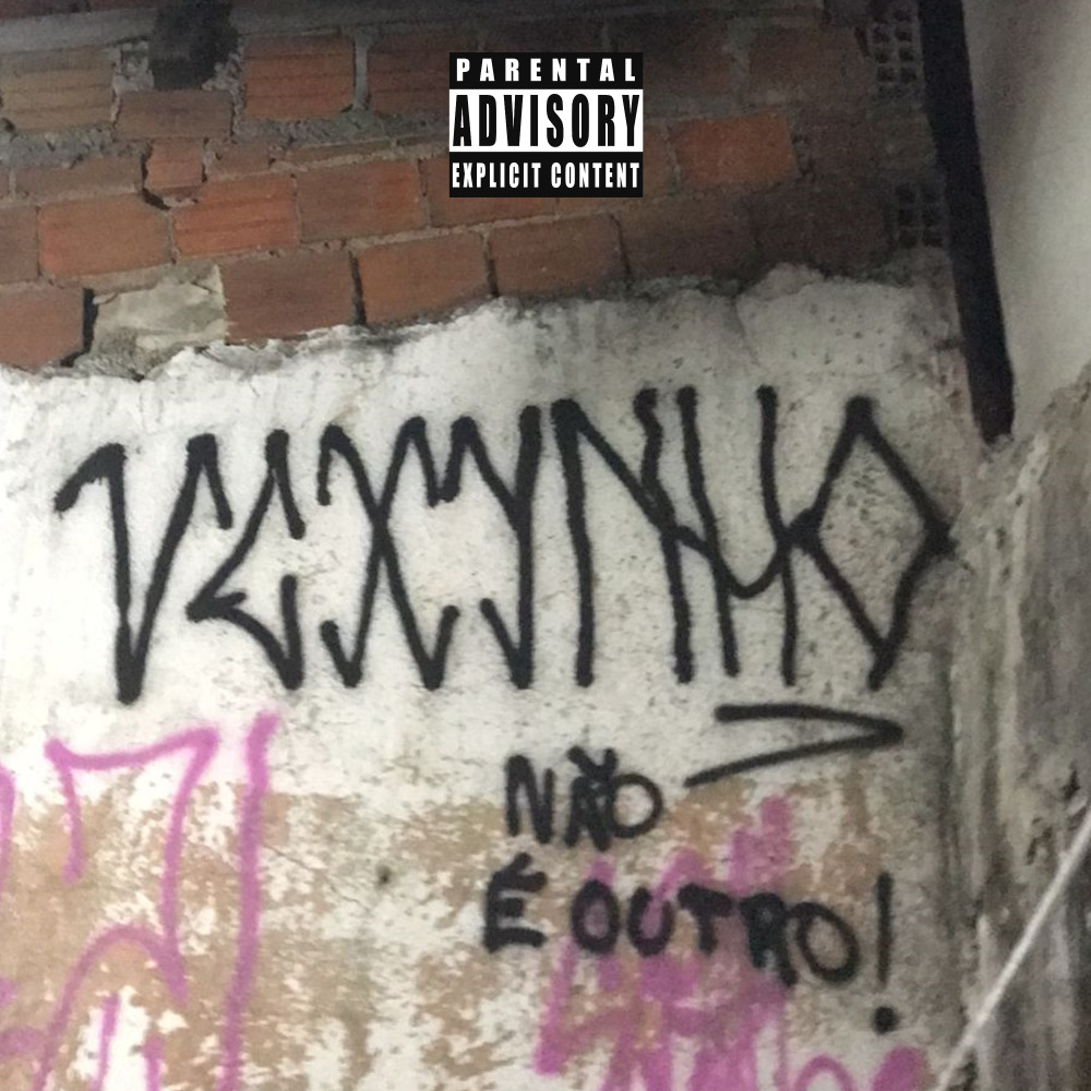 Fazendo Tudo Que Nós Quer e Foda-Se (Explicit)