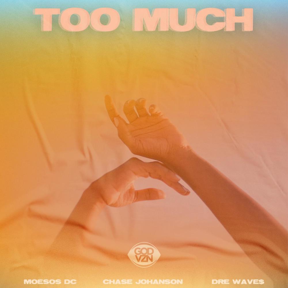 Too Much (feat. Chase Johanson & Dre Wave$) (Explicit)
