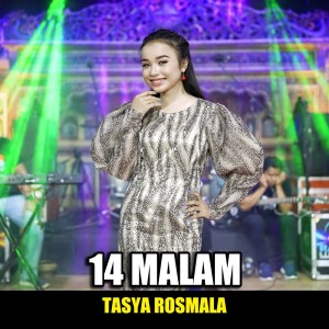 Dengarkan 14 Malam lagu dari Tasya Rosmala dengan lirik