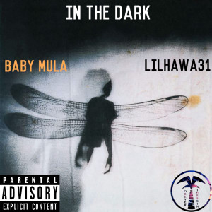 Album In the Dark (Explicit) from Baby Mula