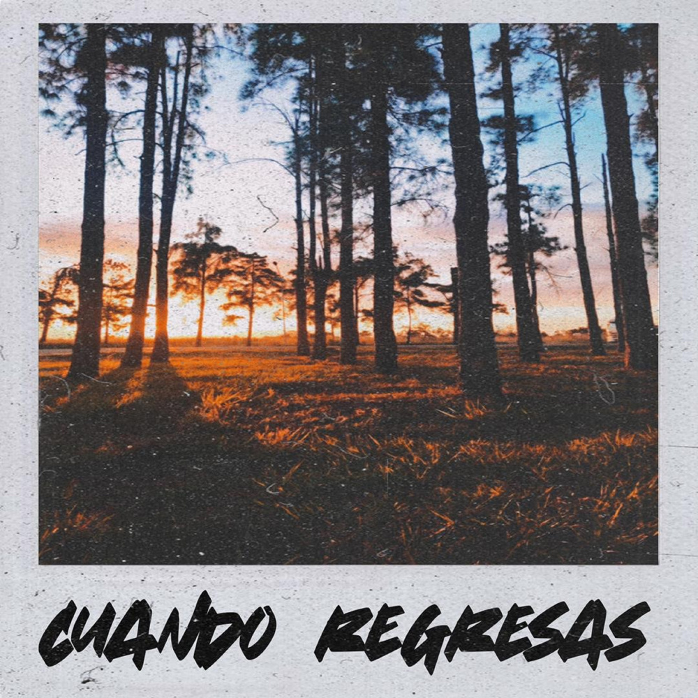 Cuando Regresas