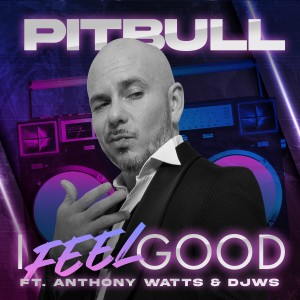 收聽Pitbull的I Feel Good (Instrumental)歌詞歌曲