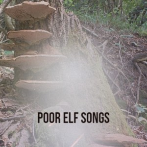 Album Poor Elf Songs from Various