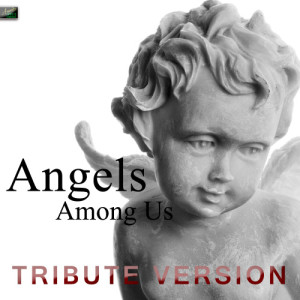 ดาวน์โหลดและฟังเพลง Will You Marry Me พร้อมเนื้อเพลงจาก Ameritz Tribute Standards
