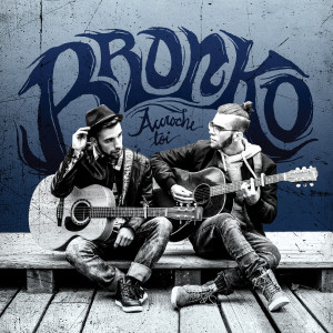 Listen to L'histoire de ma vie song with lyrics from Bronko