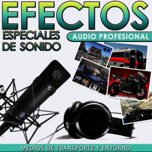 อัลบัม Inside Plane, Bus, Check in, Truck, Wagon... Special Sound Effects ศิลปิน Sfx Professional Resource Studio