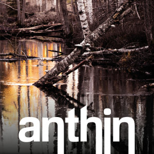 ดาวน์โหลดและฟังเพลง Where My Life Begins พร้อมเนื้อเพลงจาก Anthin