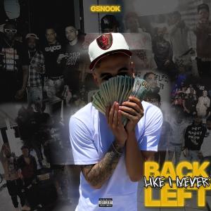 GSnook的專輯Back Like I Never Left (Explicit)