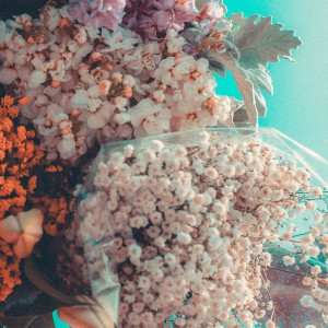 收听NASAYA的SOLEIL歌词歌曲