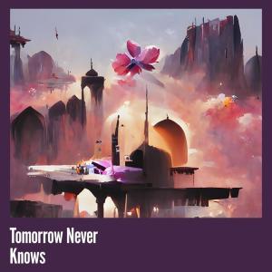 ดาวน์โหลดและฟังเพลง Tomorrow Never Knows พร้อมเนื้อเพลงจาก Lisa Smith