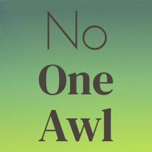 Various Artists的專輯No one Awl