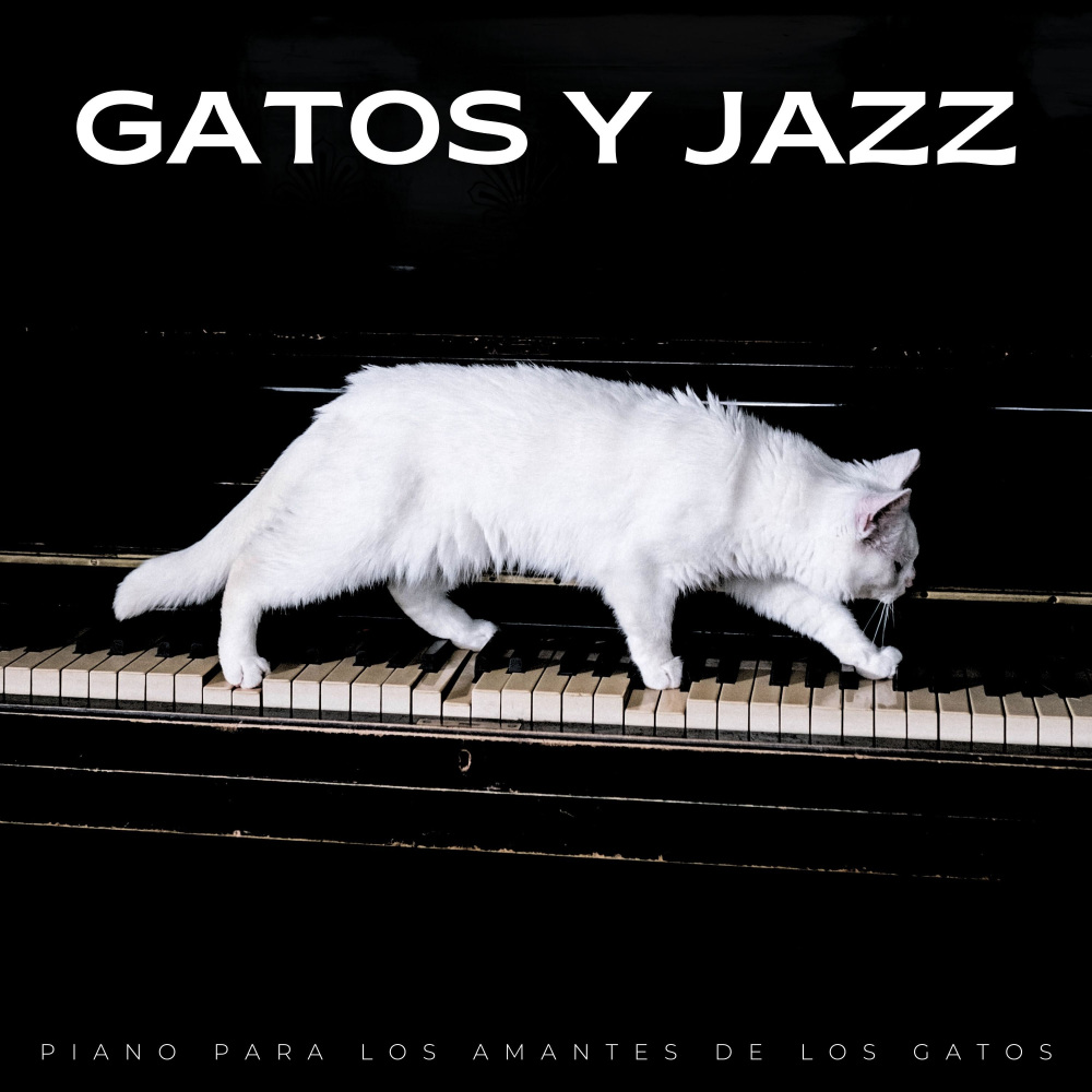 Coro Del Gato