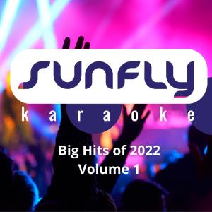 Sunfly House Band的专辑Best Of Sunfly 2022, Vol. 1 (Explicit)