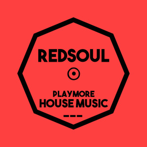 Album Playmore House Music from Redsoul