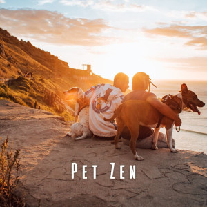 Pet Zen: Relaxing Lofi Tracks for Tranquil Pet Time